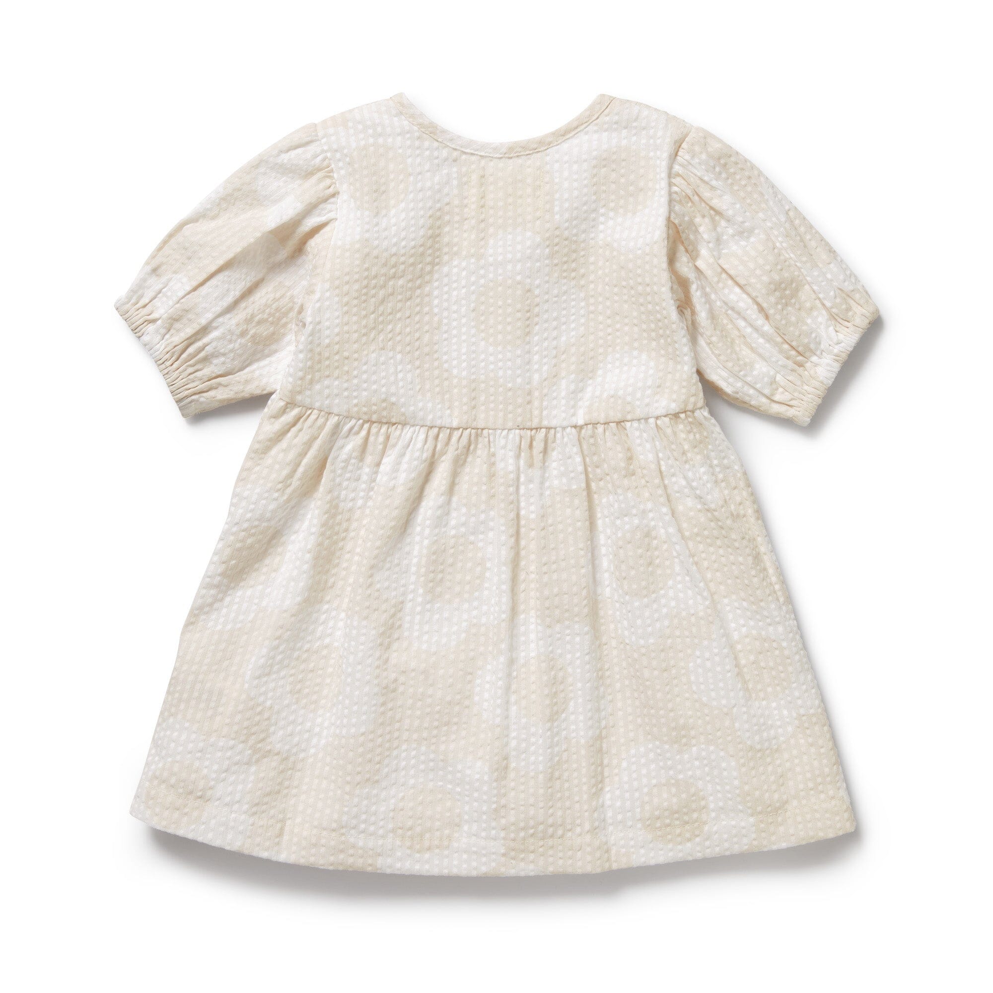 Wilson & Frenchy - Organic Button Dress - Daisy Bloom Baby Wilson & Frenchy
