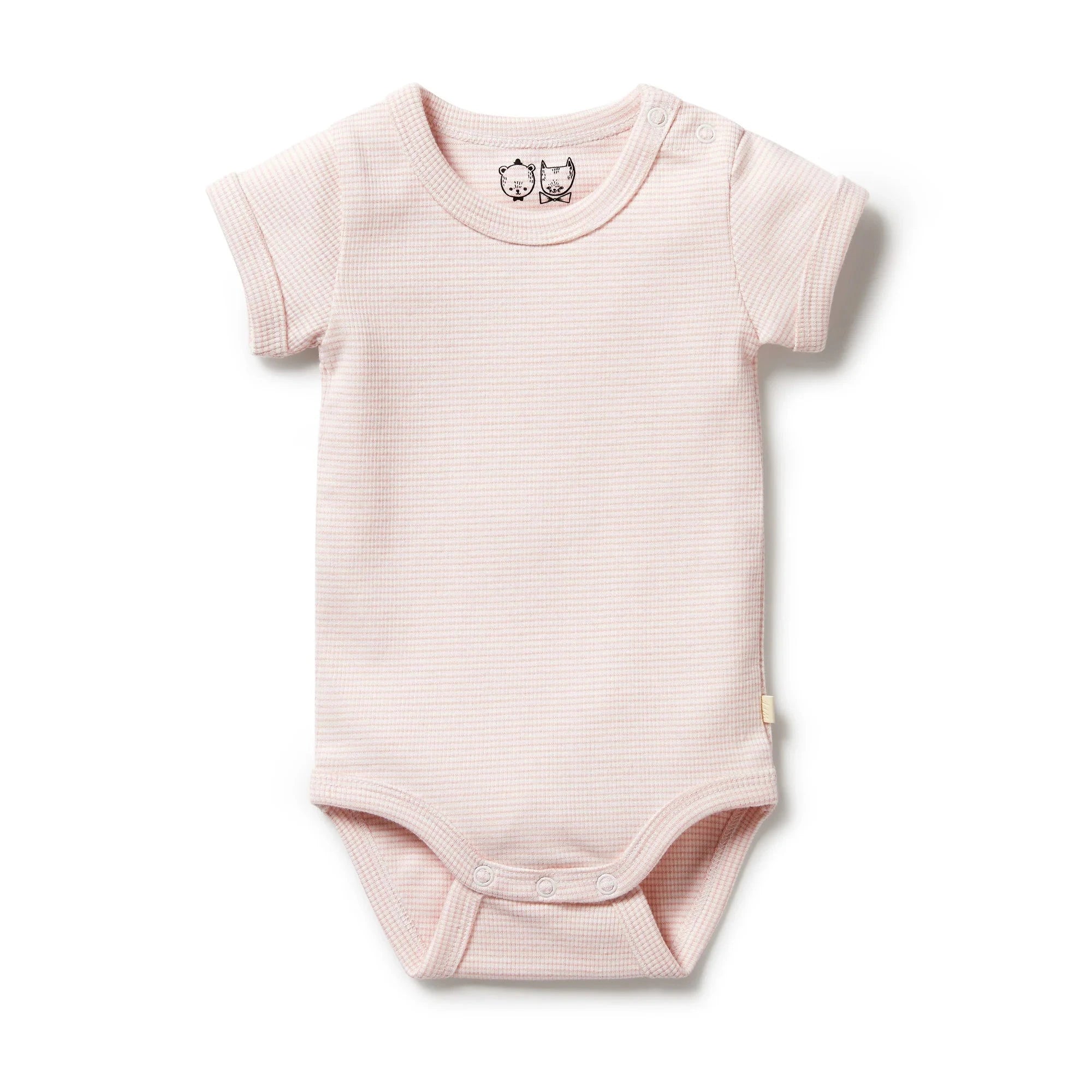 Wilson & Frenchy - Organic Stripe Bodysuit - Cantaloupe Baby Wilson & Frenchy