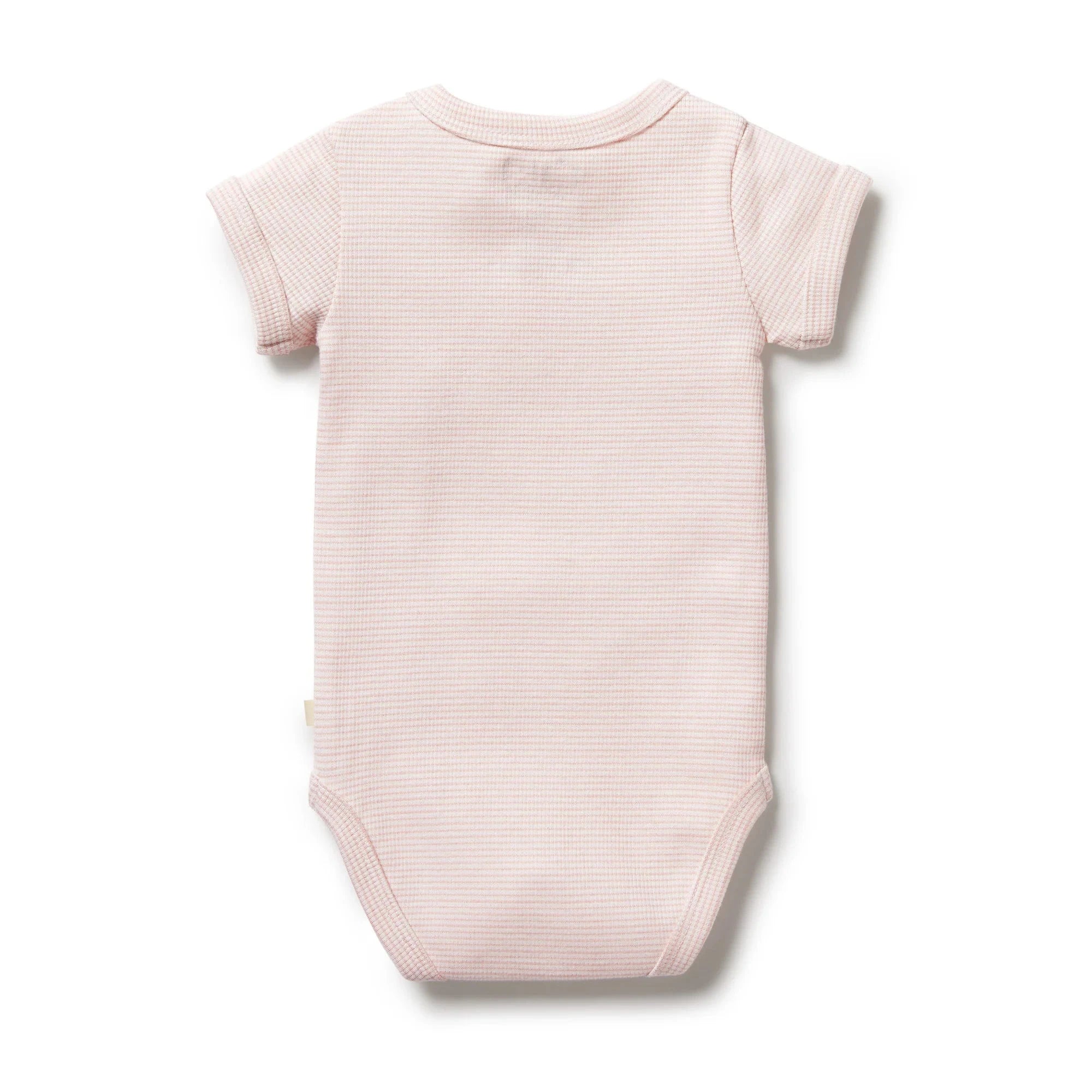 Wilson & Frenchy - Organic Stripe Bodysuit - Cantaloupe Baby Wilson & Frenchy